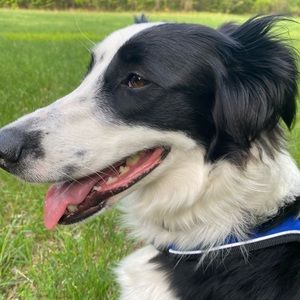 Meet your Posher, Vivian